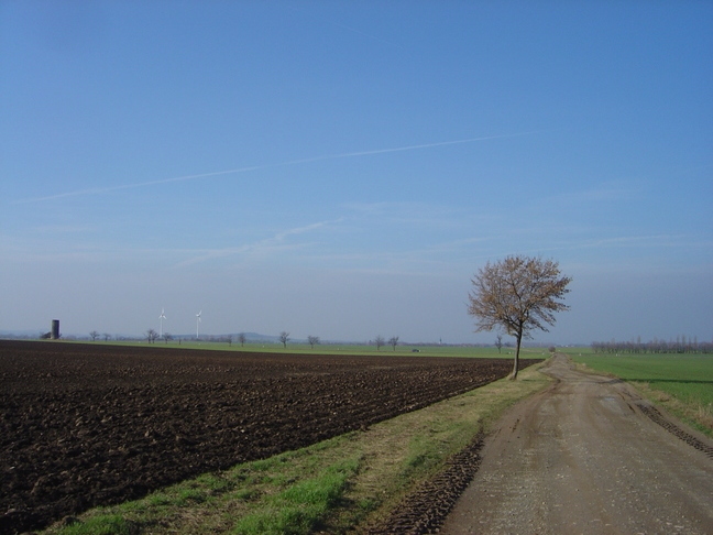 DSC07543